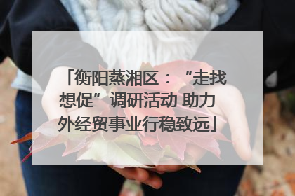 衡阳蒸湘区：“走找想促”调研活动 助力外经贸事业行稳致远