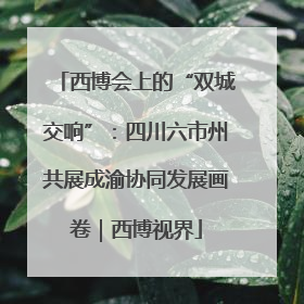 西博会上的“双城交响”：四川六市州共展成渝协同发展画卷｜西博视界