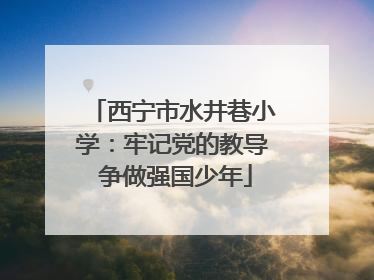西宁市水井巷小学：牢记党的教导 争做强国少年