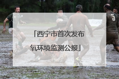 西宁市首次发布氧环境监测公报