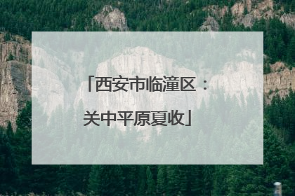 西安市临潼区：关中平原夏收