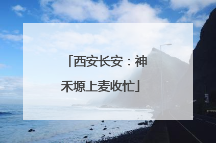 西安长安：神禾塬上麦收忙