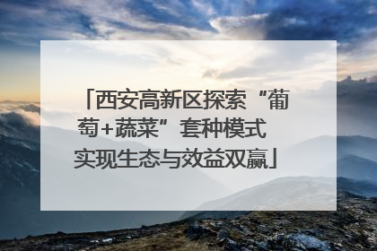 西安高新区探索“葡萄+蔬菜”套种模式 实现生态与效益双赢