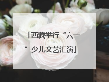 西藏举行“六一”少儿文艺汇演