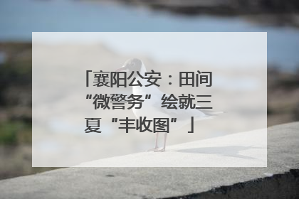 襄阳公安：田间“微警务”绘就三夏“丰收图”
