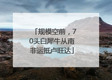规模空前，70头白犀牛从南非运抵卢旺达