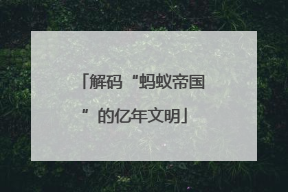 解码“蚂蚁帝国”的亿年文明