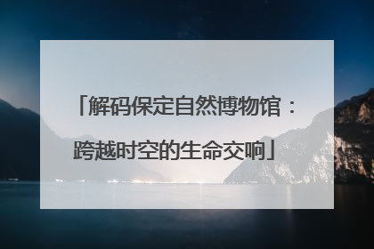 解码保定自然博物馆：跨越时空的生命交响
