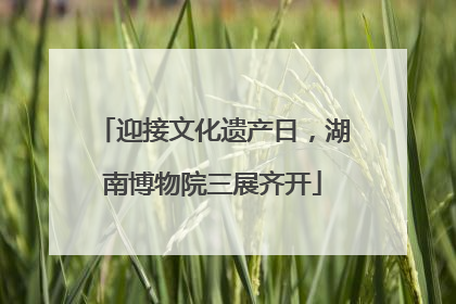 迎接文化遗产日，湖南博物院三展齐开