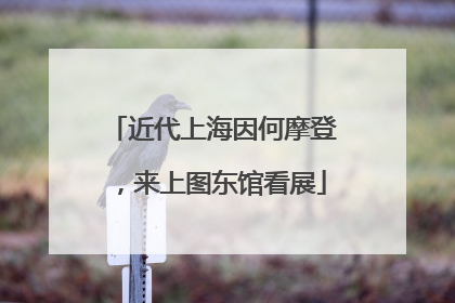 近代上海因何摩登，来上图东馆看展