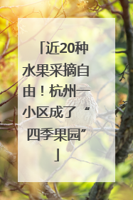 近20种水果采摘自由！杭州一小区成了“四季果园”