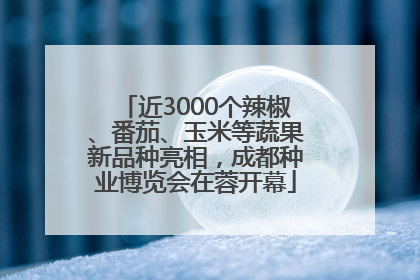 近3000个辣椒、番茄、玉米等蔬果新品种亮相，成都种业博览会在蓉开幕