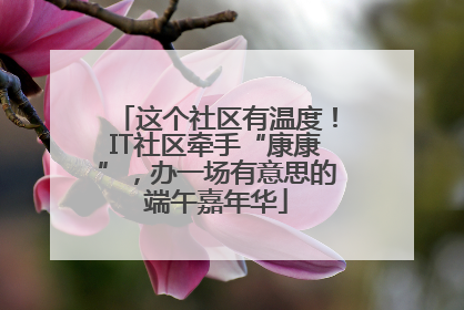 这个社区有温度！IT社区牵手“康康”，办一场有意思的端午嘉年华
