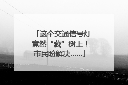 这个交通信号灯竟然“藏”树上！市民盼解决……