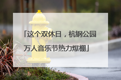 这个双休日，杭钢公园万人音乐节热力爆棚