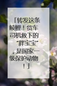 转发这条鲮鲤！货车司机救下的“胖宝宝”，是国家一级保护动物！