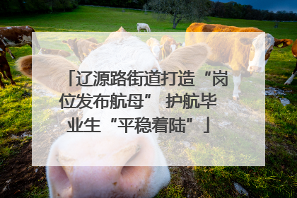 辽源路街道打造“岗位发布航母” 护航毕业生“平稳着陆”