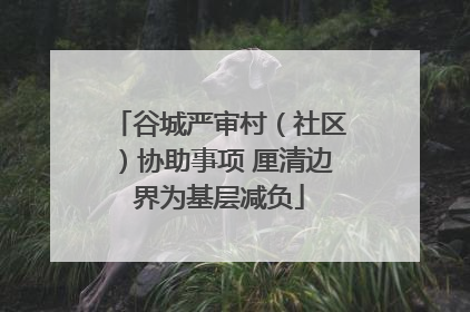 谷城严审村（社区）协助事项 厘清边界为基层减负