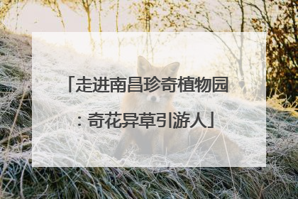 走进南昌珍奇植物园：奇花异草引游人