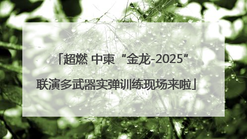 超燃 中柬“金龙-2025”联演多武器实弹训练现场来啦