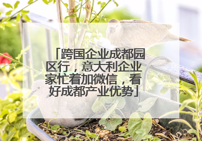 跨国企业成都园区行，意大利企业家忙着加微信，看好成都产业优势