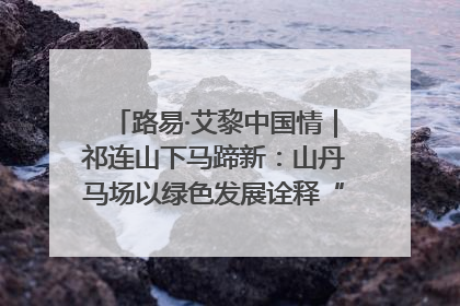 路易·艾黎中国情｜祁连山下马蹄新：山丹马场以绿色发展诠释“两山”理论实践