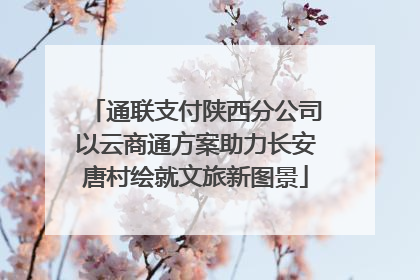 通联支付陕西分公司以云商通方案助力长安唐村绘就文旅新图景