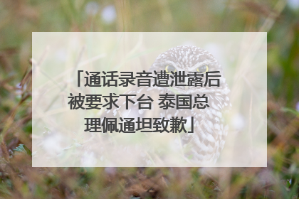 通话录音遭泄露后被要求下台 泰国总理佩通坦致歉