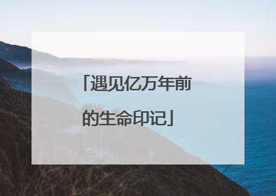 遇见亿万年前的生命印记
