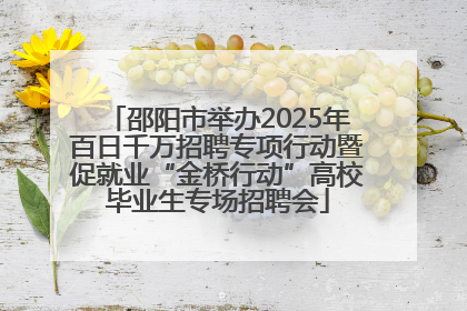 邵阳市举办2025年百日千万招聘专项行动暨促就业“金桥行动”高校毕业生专场招聘会