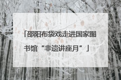邵阳布袋戏走进国家图书馆“非遗讲座月”