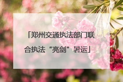 郑州交通执法部门联合执法“亮剑”暑运
