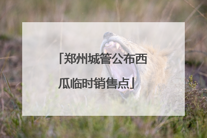 郑州城管公布西瓜临时销售点