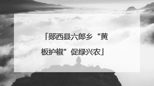 郧西县六郎乡“黄板护椒”促绿兴农