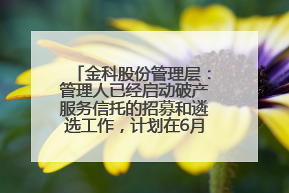 金科股份管理层：管理人已经启动破产服务信托的招募和遴选工作，计划在6月初召开评审会