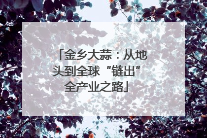 金乡大蒜：从地头到全球“链出”全产业之路