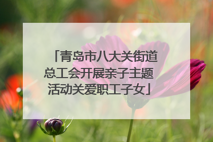 青岛市八大关街道总工会开展亲子主题活动关爱职工子女