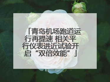 青岛机场跑道运行再提速 相关平行仪表进近试验开启“双倍效能”