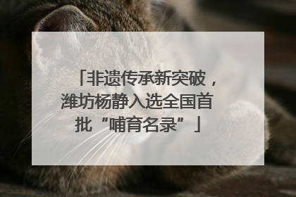 非遗传承新突破，潍坊杨静入选全国首批“哺育名录”