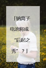 钠离子电池将成“后起之秀”？
