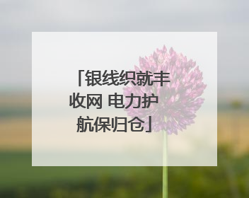 银线织就丰收网 电力护航保归仓