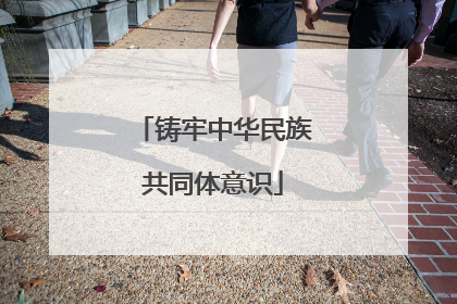 铸牢中华民族共同体意识