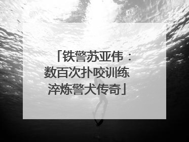 铁警苏亚伟：数百次扑咬训练淬炼警犬传奇