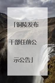 铜陵发布干部任前公示公告