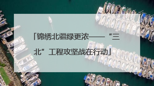 锦绣北疆绿更浓——“三北”工程攻坚战在行动