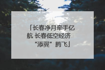 长春净月牵手亿航 长春低空经济“添翼”腾飞