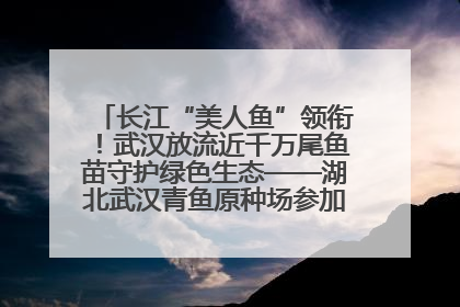 长江“美人鱼”领衔！武汉放流近千万尾鱼苗守护绿色生态——湖北武汉青鱼原种场参加2025年“全国放鱼日”增殖放流活动