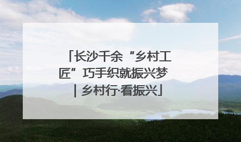 长沙千余“乡村工匠”巧手织就振兴梦｜乡村行·看振兴