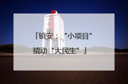镇安：“小项目”撬动“大民生”