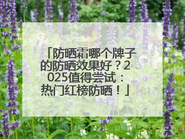 防晒霜哪个牌子的防晒效果好？2025值得尝试：热门红榜防晒！